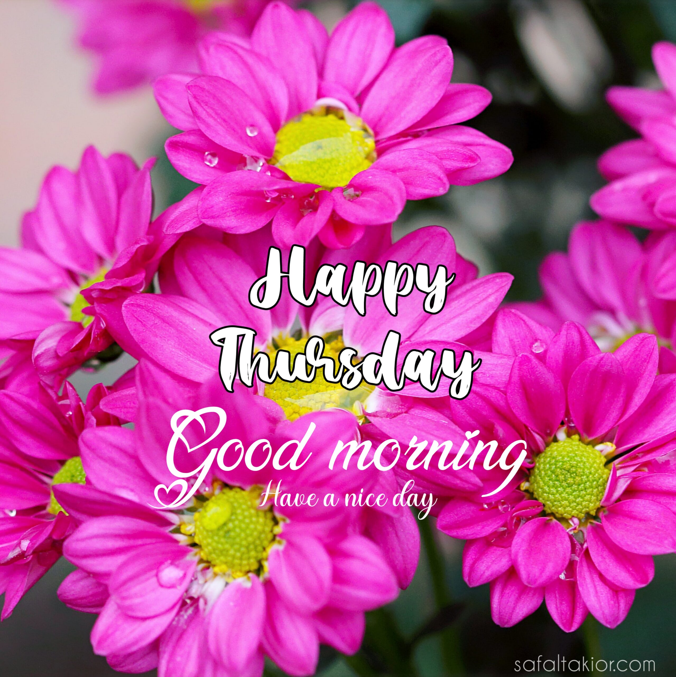 Happy thursday images